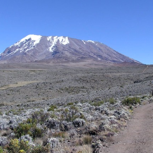 5 DAYS MT. KILIMANJARO TREKKING {MARANGU ROUTE}